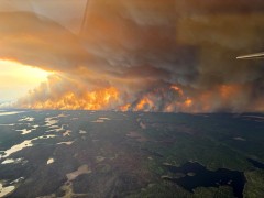Thumbnail for Wed, 04 Jun 2025 17:24:17 +0000 Al Jazeera news item