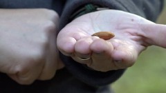 Thumbnail for Sun, 02 Nov 2025 23:23:49 -0500 Fox News news item