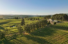 Thumbnail for Fri, 20 Feb 2026 17:23:19 +0000 Observer news item