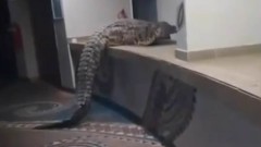 Thumbnail for Sun, 26 Apr 2026 19:05:49 GMT Daily Mail news item