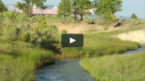 ATV Riders Cross a Shallow Creek