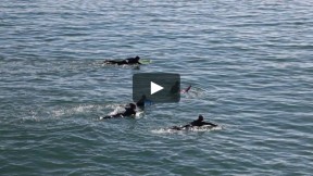 Surfers Wearing Wetsuits Paddle out to the Waves