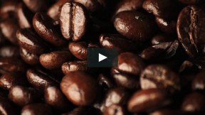 Roasted Coffee Beans (Macro)